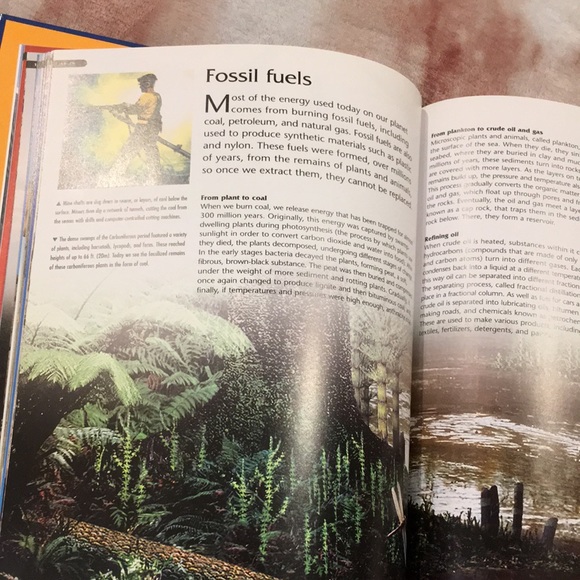 Rocks & Fossils Book by Kingfisher Knowledge Geology Science Read Resale - Picture 13 of 14